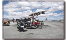 Trans Himalayan Safari
